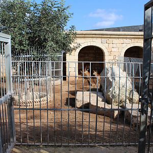 Red Lechwe Enclosure - MonteKristo Animal Park, Malta