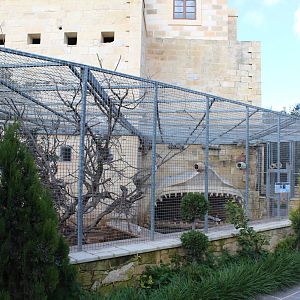Aviary - MonteKristo Animal Park, Malta