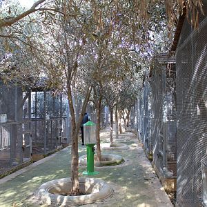 Parrot & Small Monkey Area - MonteKristo Animal Park, Malta