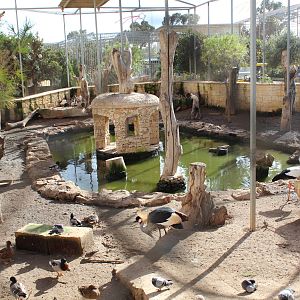 Aviary - MonteKristo Animal Park, Malta