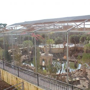 Aviary - MonteKristo Animal Park, Malta