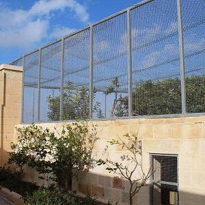 African Lion Enclosure - MonteKristo Animal Park