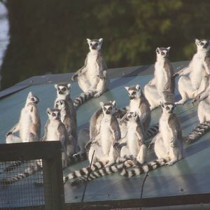 Winter sunshine, 27th December 2014