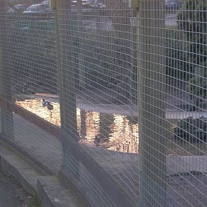 Winter reflections in the Walk-through Aviary, 10th January 2015