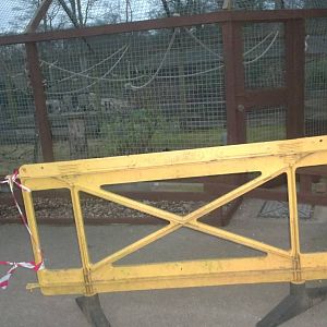 Staining operations around the Macaw Aviary, 11th January 2015