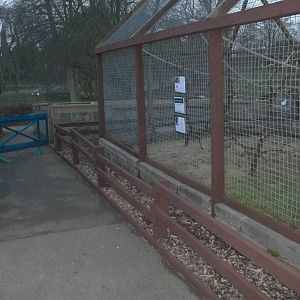Staining operations around the Macaw Aviary, 11th January 2015