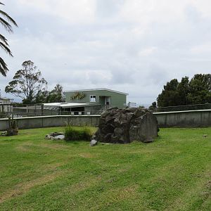 Australian Lizard Exhibit at Ti Point Reptile Park