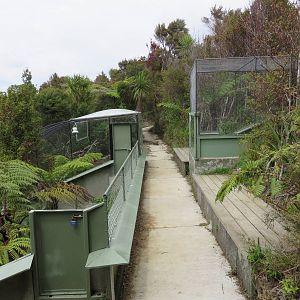 New Exhibits at Ti Point Reptile Park