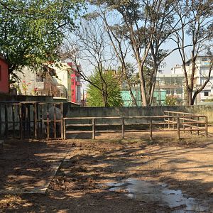 Greater One horned rhino enclosure