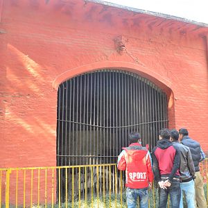 View of one of the tiger enclosures