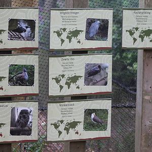 Signs Australian aviary