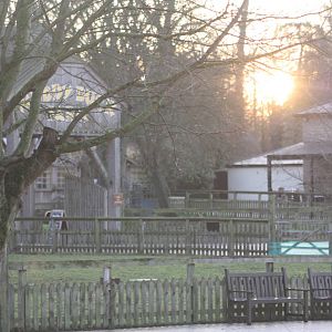 Sun setting over Muddy Duck Farm, 27th December 2014
