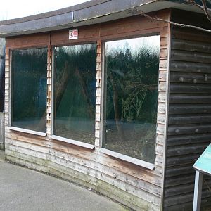 Northern Tree Shrew enclosure at Blackpool Zoo, 15/01/15
