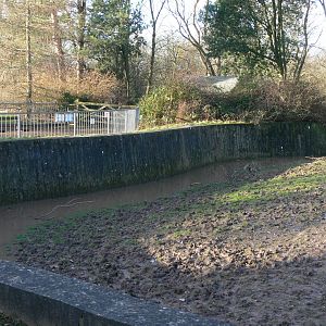 Zebra Paddock at Blackpool Zoo, 15/01/15