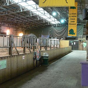 Elephant House at Blackpool Zoo, 15/01/15