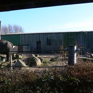 Elephant Paddock at Blackpool Zoo, 15/01/15