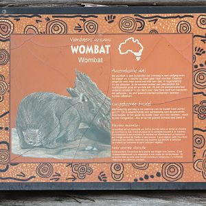 Informationsign Wombat