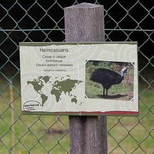 Sign Double wattled cassowary