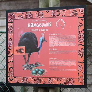 Information sign Double wattled cassowary