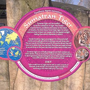 Signage, 27th December 2014