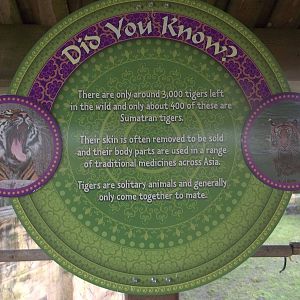 Signage, 27th December 2014