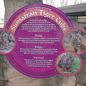 Signage, 27th December 2014