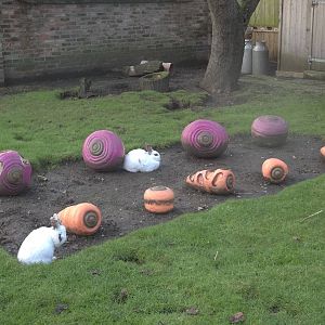 Rabbit patch in Muddy Duck Farm, 27th December 2014