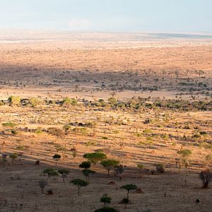 View of the plains below