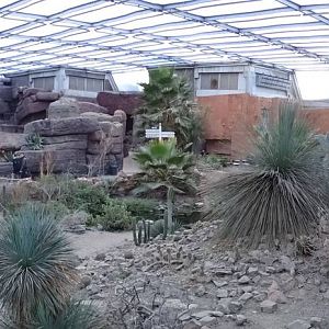 Burgers' Zoo 2015 - Desert