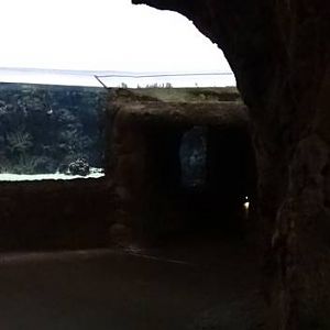 Burgers' Zoo 2015 - Ocean