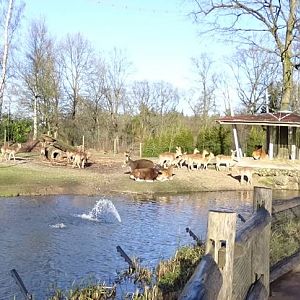 Burgers' Zoo 2015 - Rimba