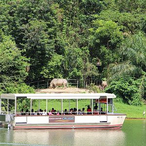 River Safari Cruise - White Rhino