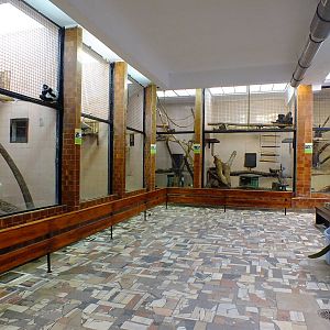 Primate house indoors (species list in description)