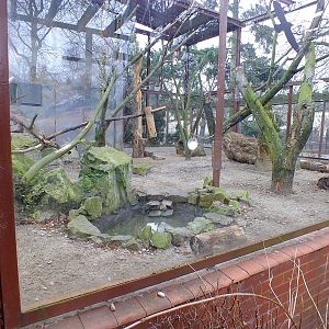 Kea outdoor area (very good imo)