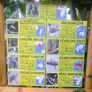 New signage in walk-through aviary (see description for full species list)