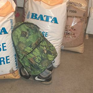 A fine bag for a ZooChatter, 17th January 2015