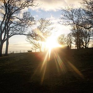 The sun streams across the clifftop paddocks, 18th January 2015
