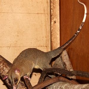 2014 Shell Factory and Nature Park