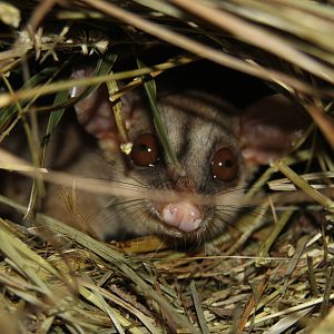 2014 Shell Factory and Nature Park