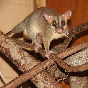 2014 Shell Factory and Nature Park