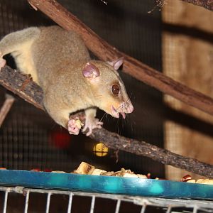 2014 Shell Factory and Nature Park