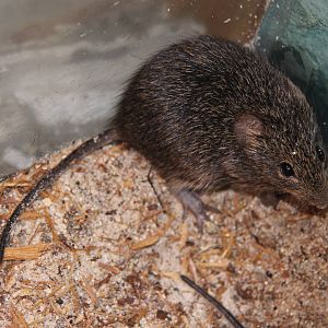 2014 Shell Factory and Nature Park