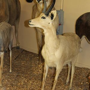 2014 Shell Factory and Nature Park