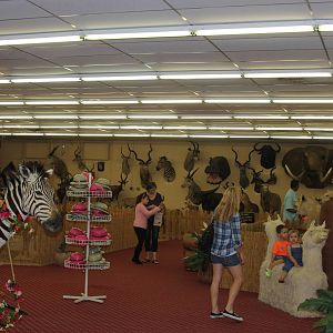 2014 Shell Factory and Nature Park