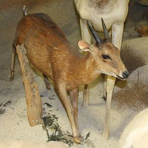 2014 Shell Factory and Nature Park