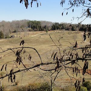 Rhinoceroses exhibition area at North Carolina zoo 2015-1-19