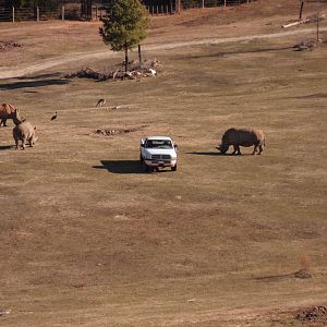 Huge exhibition area at North carolina zoo 2015-1-19