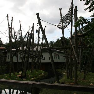 one of the orangutan islands