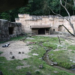 another section of the Barbary macaque exhibit