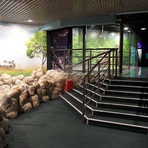 Glass bridge over ray pool